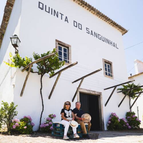 Quinta do Sanguinhal - Visita Guiada & Refeição